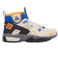 Nike ACG Air Mowabb