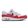 Nike Air Max 1 (gs)