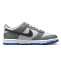 Nike Dunk Low (gs)