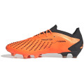 Adidas Predator Accuracy.1 Low FG