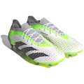 Adidas Predator Accuracy.1 Low FG