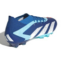 Adidas Predator Accuracy.1 AG