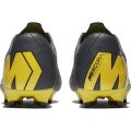 Nike Mercurial Vapor 12 Pro FG