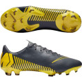 Nike Mercurial Vapor 12 Pro FG