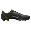 Nike Mercurial Vapor 14 Academy FG/MG