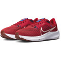 Nike Pegasus 40