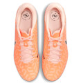 Nike Tiempo Legend 10 Academy FG/MG