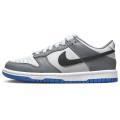 Nike Dunk Low (gs)