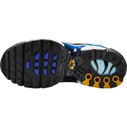 Nike Air Max Plus (gs)