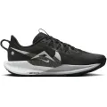 Nike Pegasus Trail 5