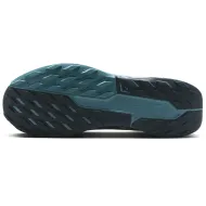 Nike Pegasus Trail 5 GTX