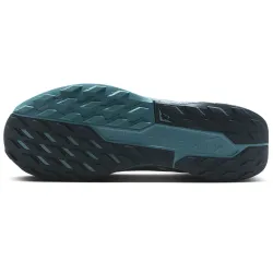 Nike Pegasus Trail 5 GTX
