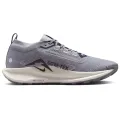 Nike Pegasus Trail 5 GTX