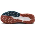Nike Pegasus Trail 5 GORE-TEX