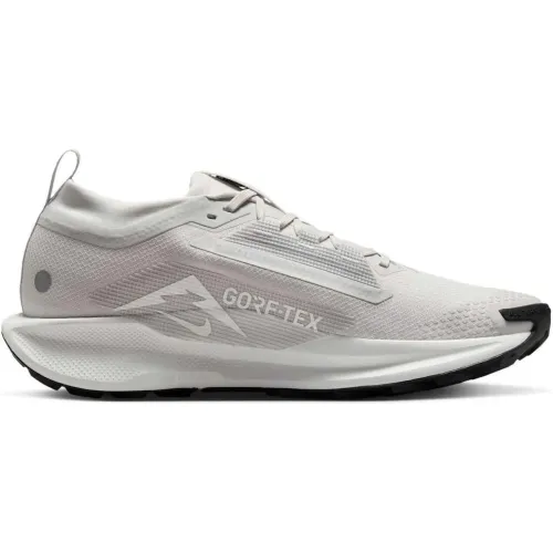 Nike Pegasus Trail 5 GTX