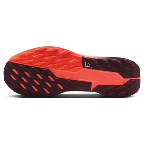 Nike Pegasus Trail 5 GORE-TEX