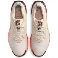 Nike Pegasus Trail 5 GORE-TEX