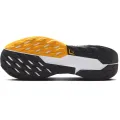 Nike Pegasus Trail 5 GORE-TEX