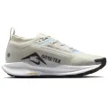 Nike Pegasus Trail 5 GORE-TEX