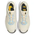 Nike Pegasus Trail 5 GORE-TEX