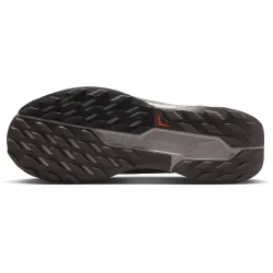 Nike Pegasus Trail 5 GORE-TEX