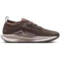 Nike Pegasus Trail 5 GORE-TEX