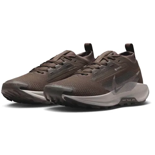 Nike Pegasus Trail 5 GORE-TEX