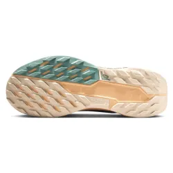 Nike Pegasus Trail 5 GTX