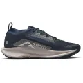 Nike Pegasus Trail 5 GORE-TEX