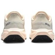 Nike Air Zoom Pegasus 41 GORE-TEX