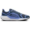 Nike Air Zoom Pegasus 41 GTX