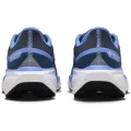 Nike Air Zoom Pegasus 41 GTX