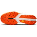 Nike Terra Kiger 10