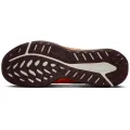 Nike Juniper Trail 2 GORE-TEX