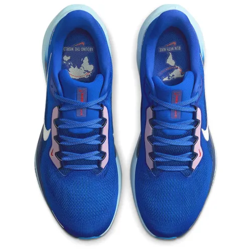 Nike Air Zoom Pegasus 41