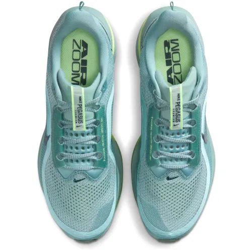 Nike Pegasus Premium