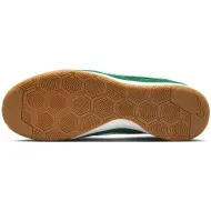 Nike Gato IC