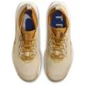 Nike Pegasus Trail 5 GORE-TEX