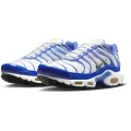 Nike Air Max Plus