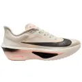 Nike Zoom Fly 6