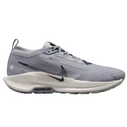 Nike Pegasus Trail 5 GTX
