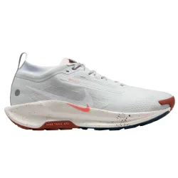 Nike Pegasus Trail 5 GORE-TEX