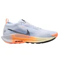 Nike Pegasus Trail 5 GORE-TEX