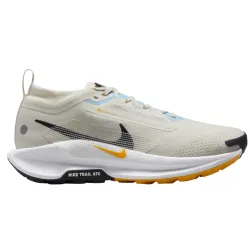 Nike Pegasus Trail 5 GORE-TEX