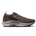 Nike Pegasus Trail 5 GORE-TEX