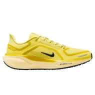 Nike Air Zoom Pegasus 41 GTX