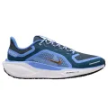 Nike Air Zoom Pegasus 41 GTX