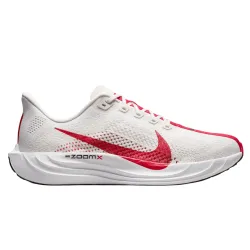 Nike Pegasus Plus
